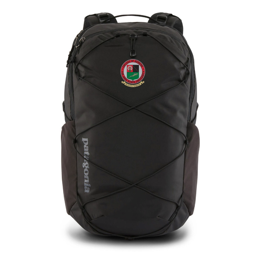 Patagonia Refugio Daypack 30L